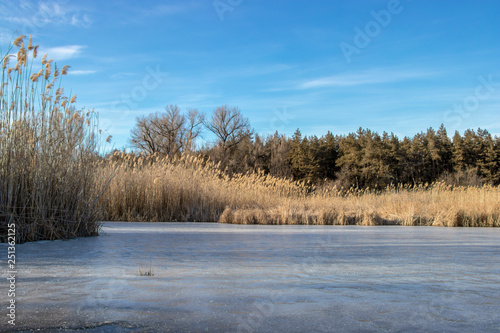 Wallpaper Mural  Frozen lake Torontodigital.ca