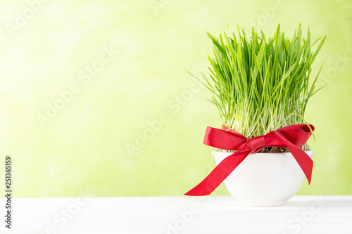 Nowruz holiday concept - grass, baklava sweets, nuts and seeds, copy space photo