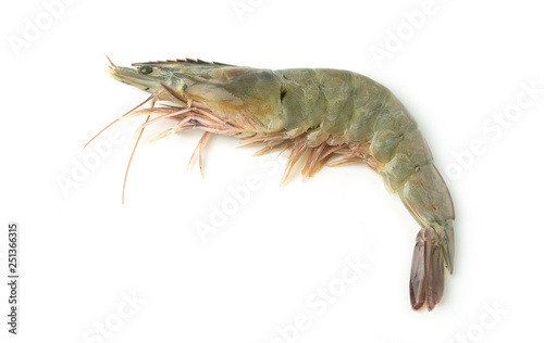 close up fresh raw pacific white shrimp on white background.