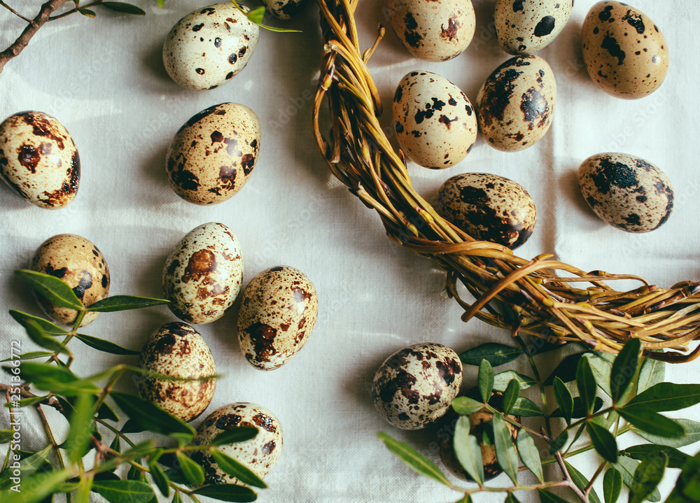 Obraz premium easter composition little easter eggs on a beautiful background