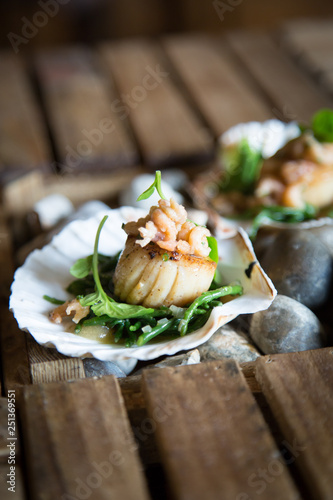 closeup scallops photo