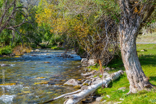 Big Ilgumen river in the Altai mountains
