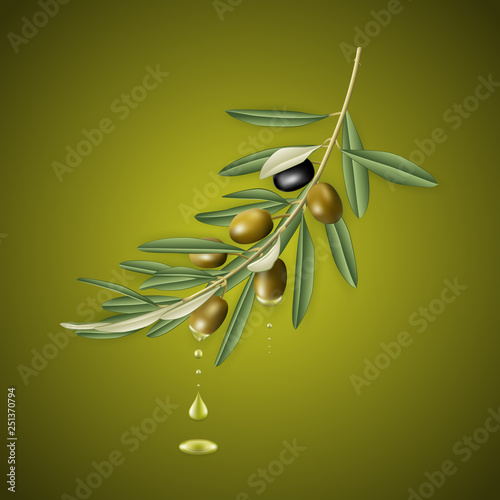 Olive tree branch with olive oil drops