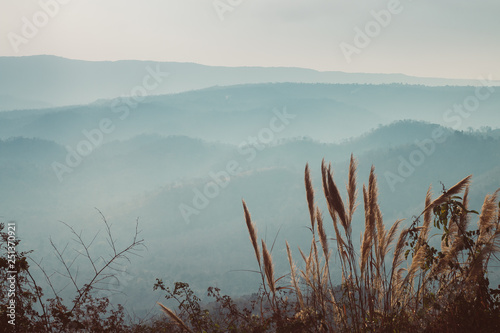 mountain fog and sky landscape background