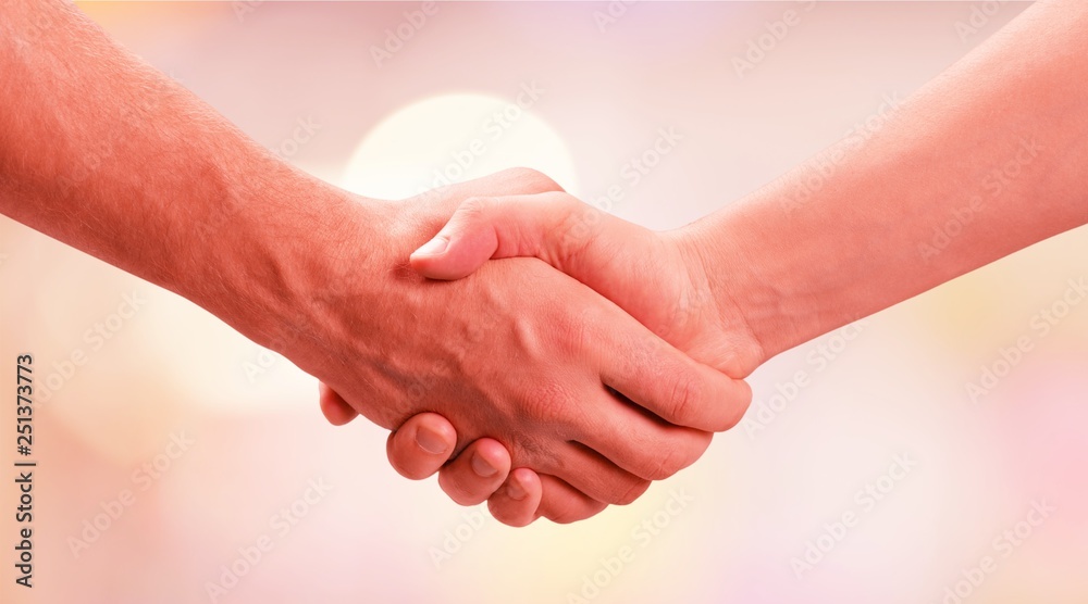 Fototapeta premium Business handshake and business buildings on light background