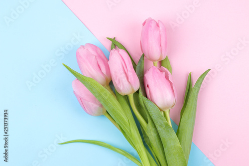 Fototapeta Naklejka Na Ścianę i Meble -  A bouquet of beautiful pink tulip flowers on a trendy pink and blue multicolored background. Spring. holidays. top view