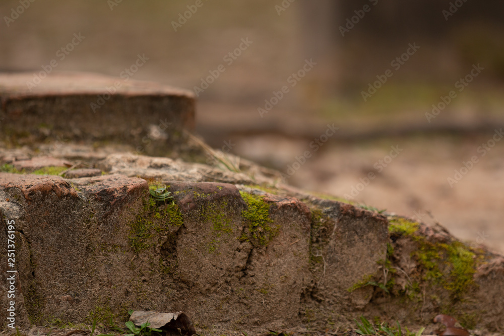 brick arch with bokeh background brick arch with bokeh background