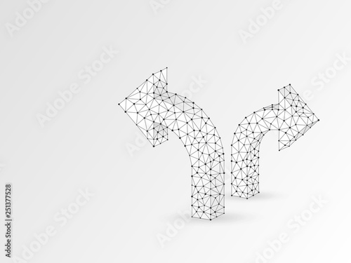 Crossroad direction two ways arrows wireframe digital 3d illustration. Low poly crossway choice concept with lines, dots, starry sky on white background. Vector polygonal road guide origami style sign
