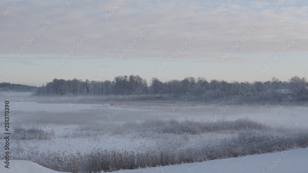 Winter in the Swedish forests