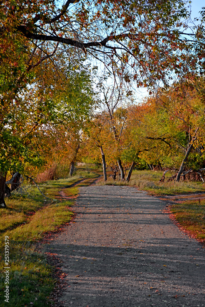 Autumn Park Autumn Park