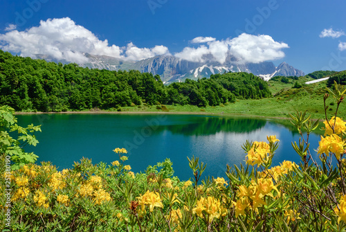 Lake in the mountains with flowers in the foreground. Lake Huko, Caucasus, Caucasian Reserve