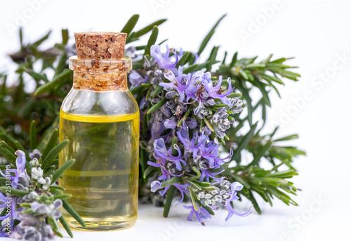 Rosemary essential oil in a small bottle. Natural aroma cosmetic oil