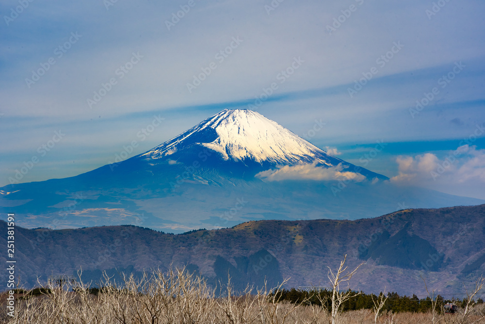 Obraz premium 富士山