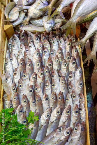 Bostanli / Izmir / Turkey, February 20, 2019, Bostanli fish market bazaar (Bospa) photo