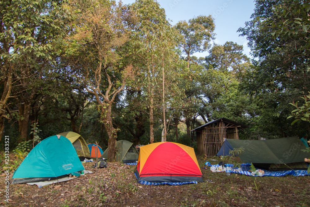 Camps in the forest on a high mountain in Thailand