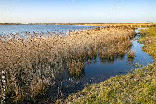 Tranquil landscape at the coastline of Fehmarn Island, Germany, Baltic sea