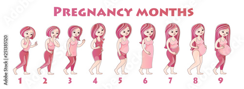 Infographics girls pregnancy by month.Many young girls are standing one behind other, concept of stages of pregnancy, sketch color illustration, vector