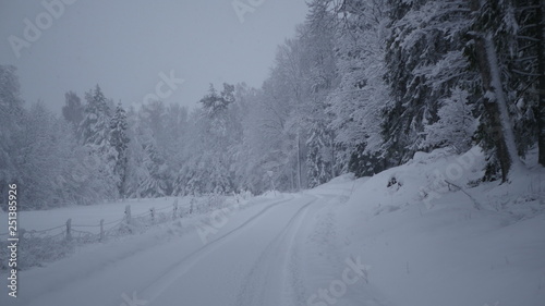 Winter in the Swedish forests © Roman