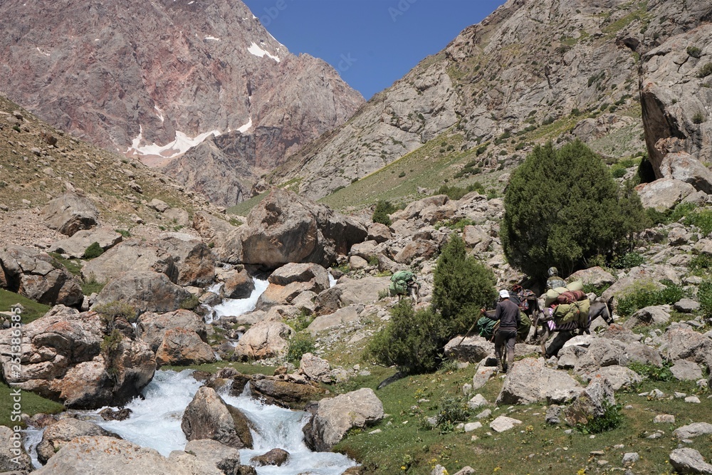 Man herding donkey by the river in the mountains, Fann Mountains, Tajikistan 