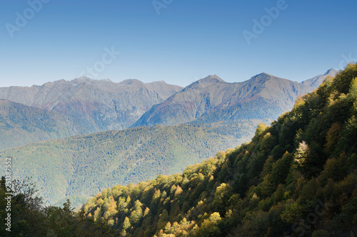 Mountains and green forest. Mountain landscape.