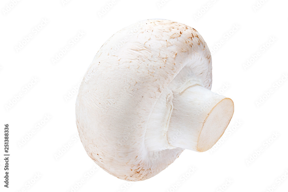 Fototapeta premium Isolated whole champignon mushroom on white background