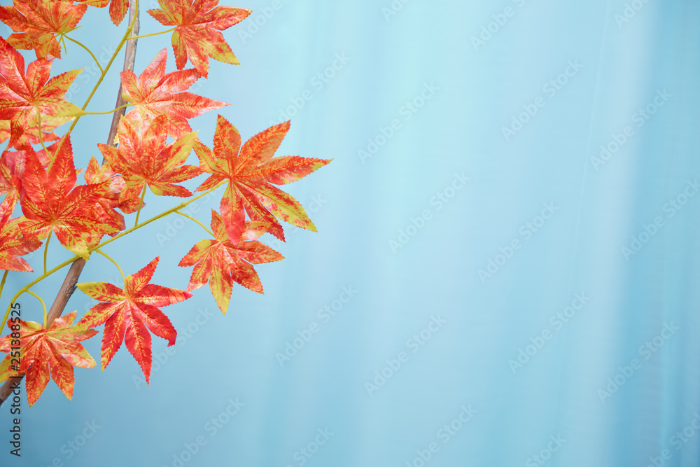 Close up of the red and orange plastic artificial leaves on tree branches with blur and bokeh background decorating on the autumn festival event in outdoor park as autumn background.Selective focus. Close up of the red and orange plastic artificial leaves on tree branches with blur and bokeh background decorating on the autumn festival event in outdoor park as autumn background.Selective focus.