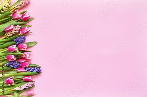 Spring flowers on pimk background. Top view, copy space. Greeting card.