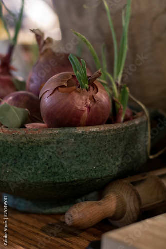 Rustic Still life with Red red onions in the greed ceramic boul