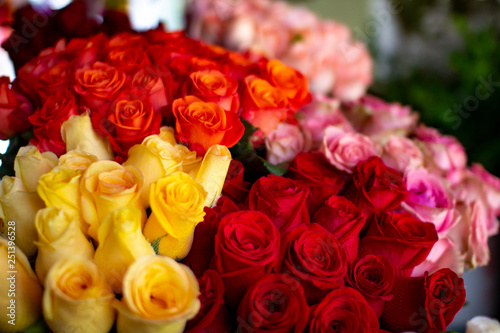 Colorful natural fresh yellow  pink  red and orange roses at florist shop