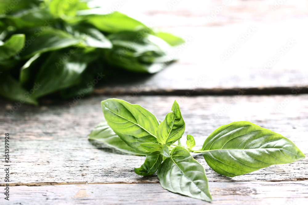 Green basil leafs on grey wooden table