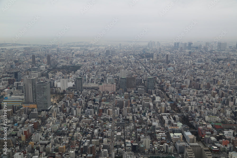view of Tokyo