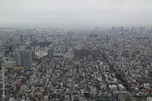 view of Tokyo