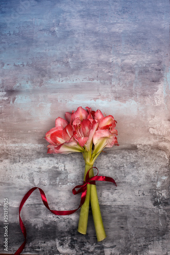 bouquet amaryllis top view