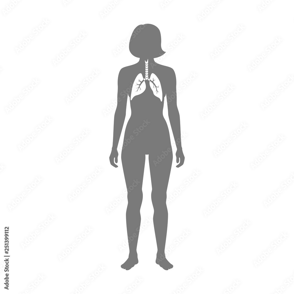 Vector isolated illustration of lung Vector isolated illustration of lung