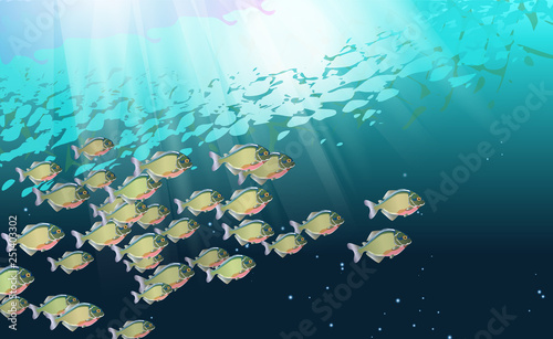 Background, school of fish, in a river of piranhas. Aquatic life. Optimized from to be used in decoration, many Pacu, illustration vector. The symbol of the aggressive design for poster, banner