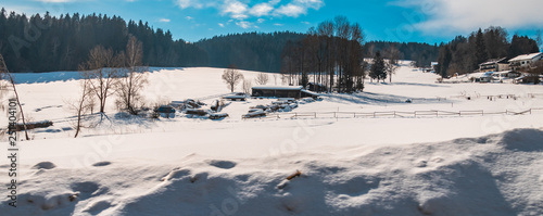 Beautiful winter view near Kirchberg-Bavarian Forest-Bavaria-Germany