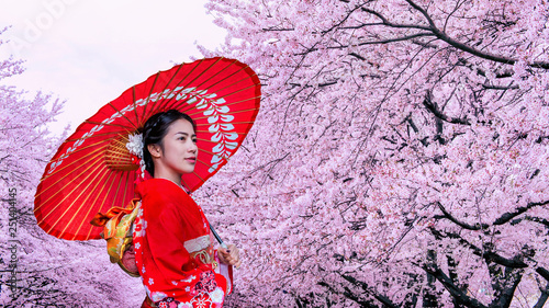 Asian woman wearing japanese traditional kimono and cherry blossom in spring, Japan.