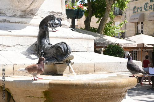 Statue St Louis Aigues mortes poisson fontaine photo