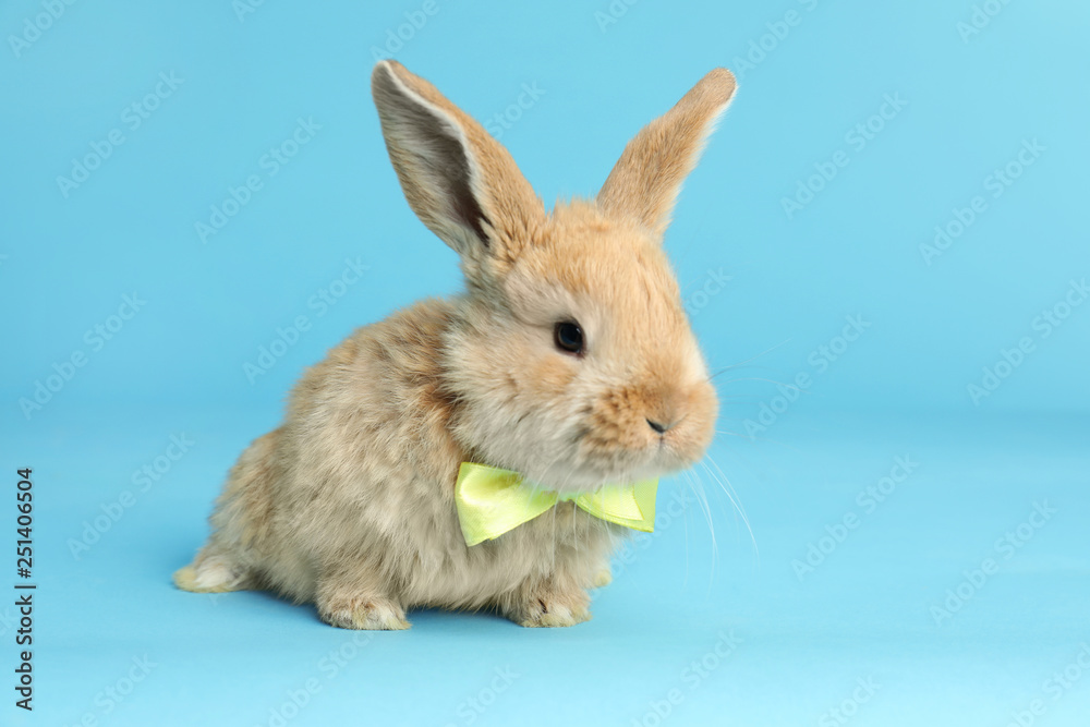 Adorable furry Easter bunny with cute bow tie on color background