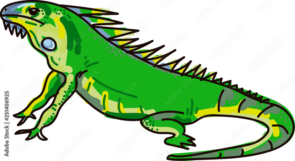 Obraz premium Iguana