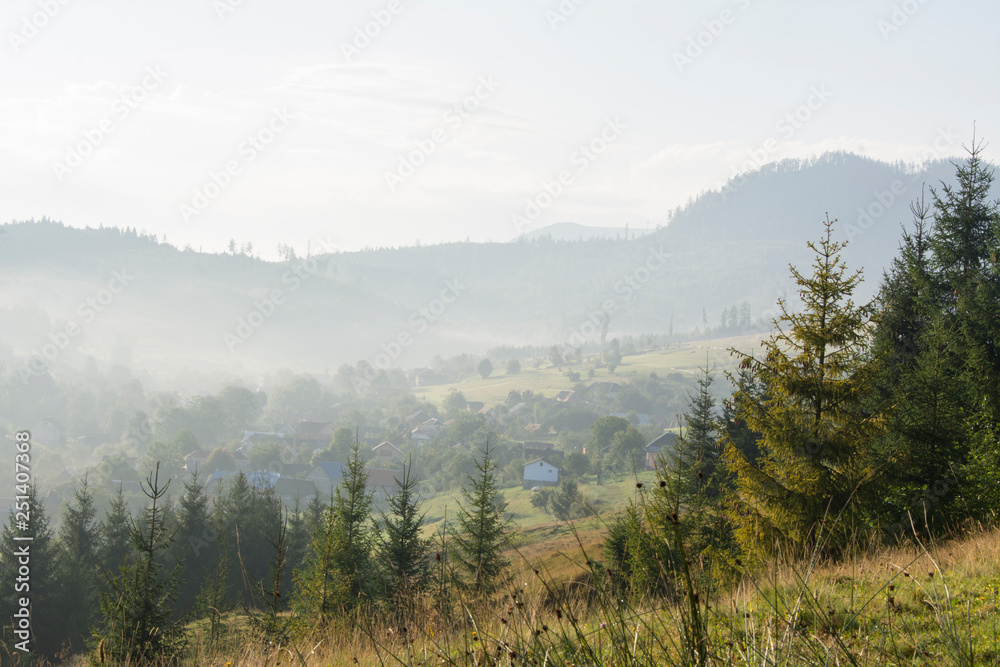 Morning misty landscape: mountain village, mountain slopes, forest.