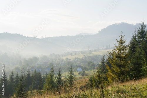 Morning misty landscape: mountain village, mountain slopes, forest.