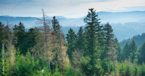 Blick vom Geigerskopfturm bei Oberkirch im Schwarzwald photo