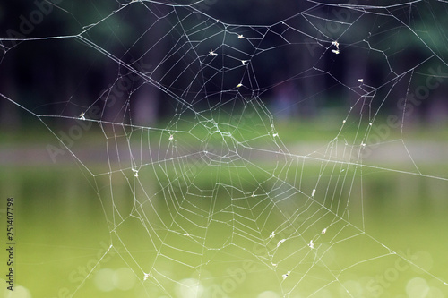 Cobweb ,spiderweb with water drop. Close up Cobweb ,spiderweb with water drop.