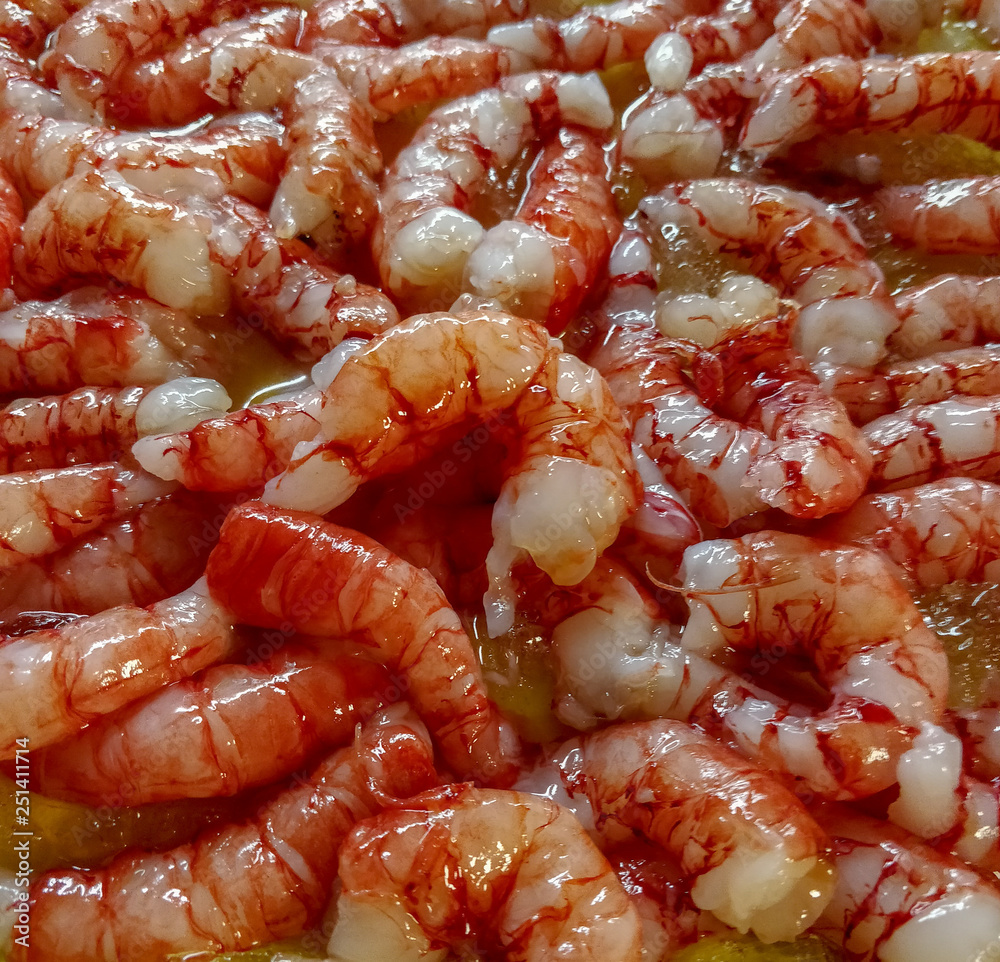 Fresh red shrimp on metal plate with ice