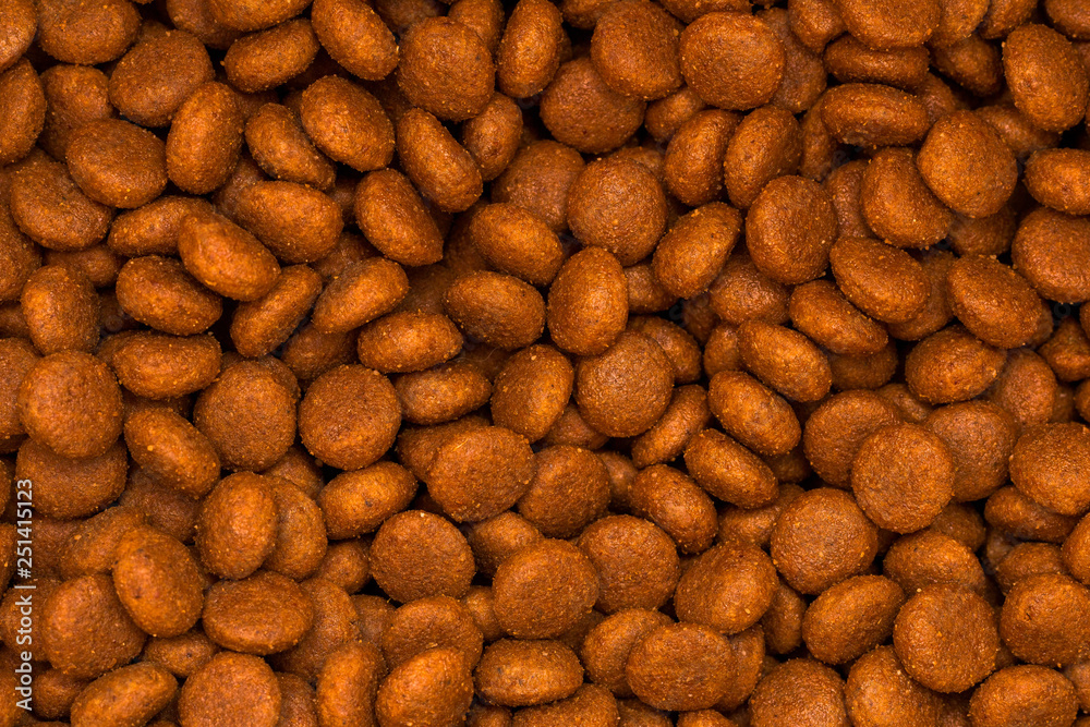 Pet kibbles close-up. Dog and cat dry food Pet kibbles close-up. Dog and cat dry food