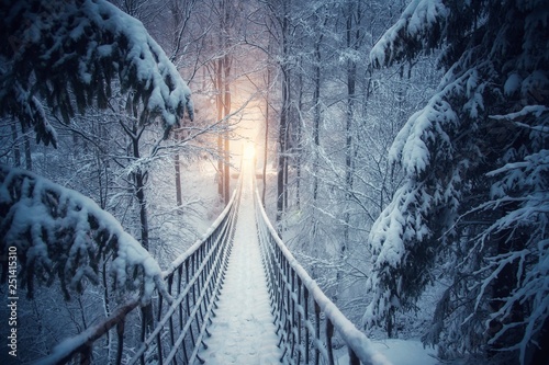 Im verschneiten Winterwald hängt eine Seilbrücke. Verschneite Tannenbäume säumen den Pfad. Brücke vom Rothaarsteig im Sauerland. photo