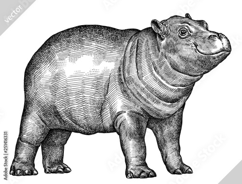 black and white engrave isolated hippo vector illustration