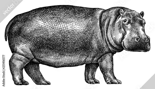 Vászonkép black and white engrave isolated hippo vector illustration