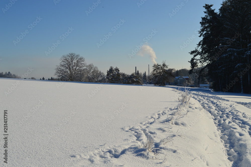 Es ist Winter. Außerhalb der Stadt. Wald Es ist Winter. Außerhalb der Stadt. Wald
